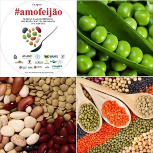 amo-feijao